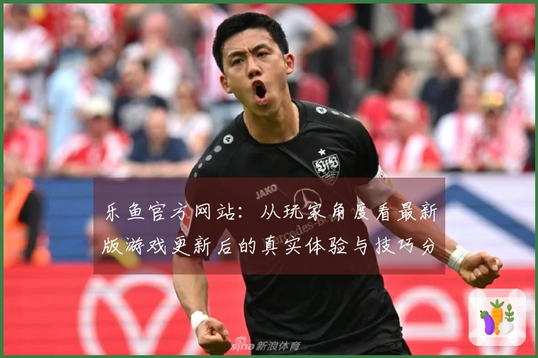 乐鱼官方网站：从玩家角度看最新版游戏更新后的真实体验与技巧分享