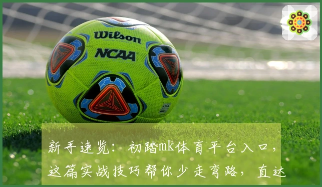 新手速览：初踏mk体育平台入口，这篇实战技巧帮你少走弯路，直达高阶乐趣