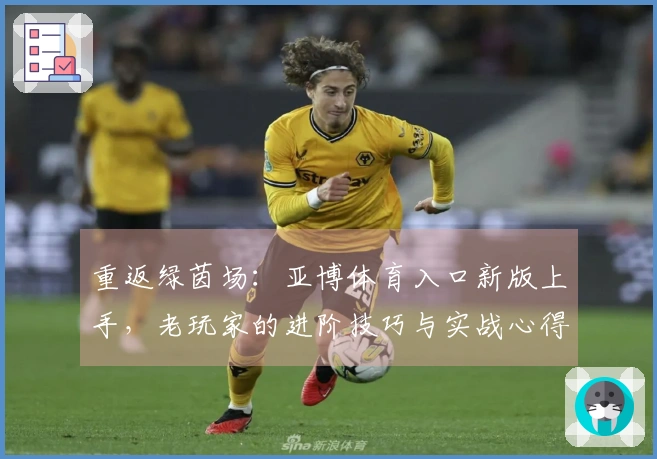 重返绿茵场：亚博体育入口新版上手，老玩家的进阶技巧与实战心得分享