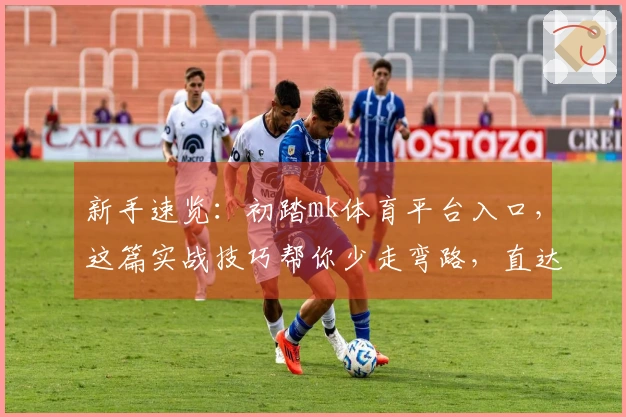 新手速览：初踏mk体育平台入口，这篇实战技巧帮你少走弯路，直达高阶乐趣
