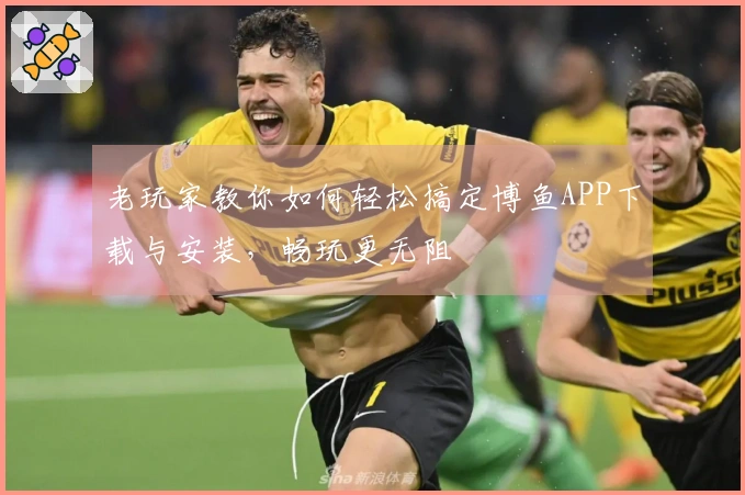 老玩家教你如何轻松搞定博鱼APP下载与安装，畅玩更无阻